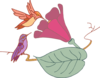 Hummingbirds And A Flower Clip Art